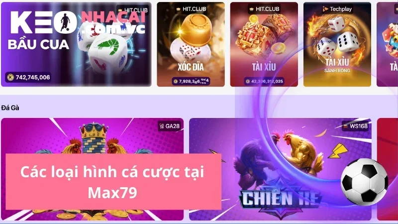 Các chương trình khuyến mãi nổi bật